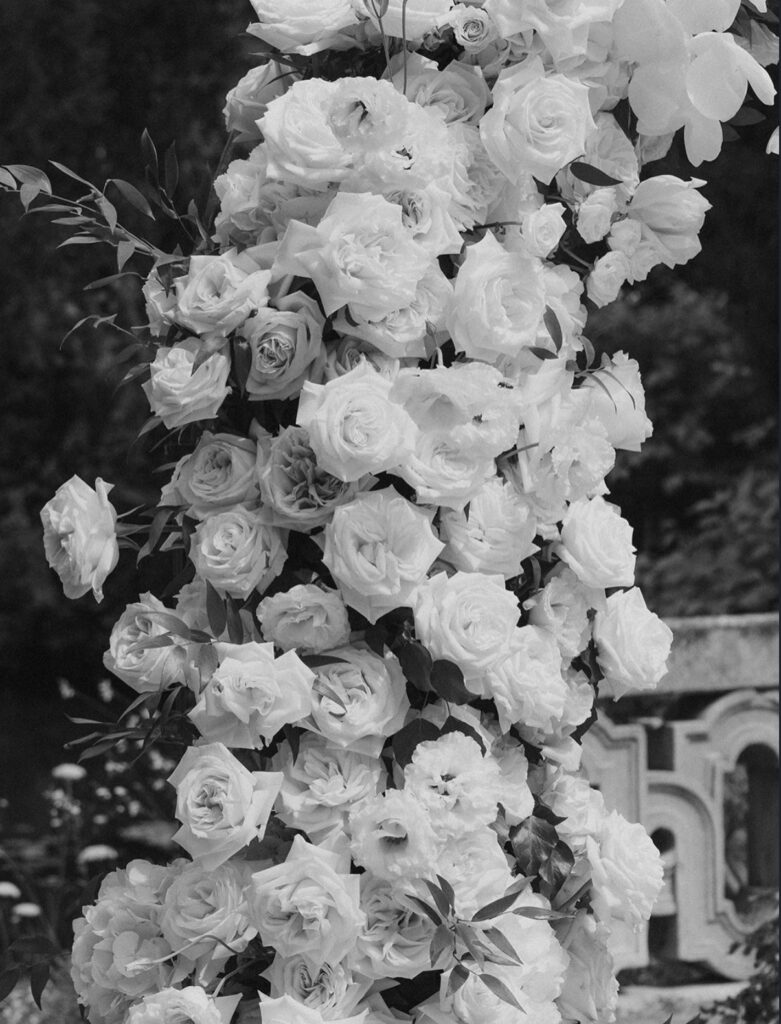Schloss Schönau Blumen