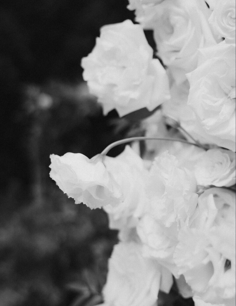 Schloss Schönau Blumen Details